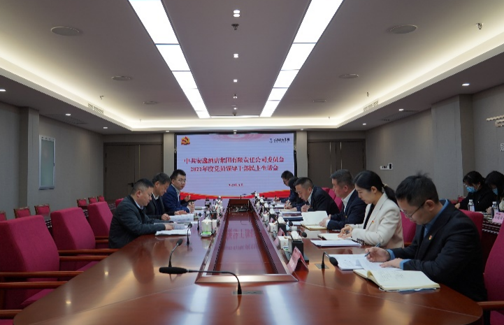 尊龙集团党委书记、董事长任丁出席安逸酒店集团2022年度党员领导干部民主生活会